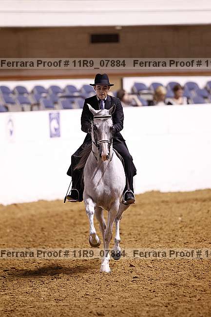 Proof 11r9_07884