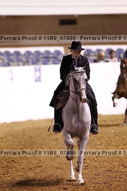 Proof 11r9_07886