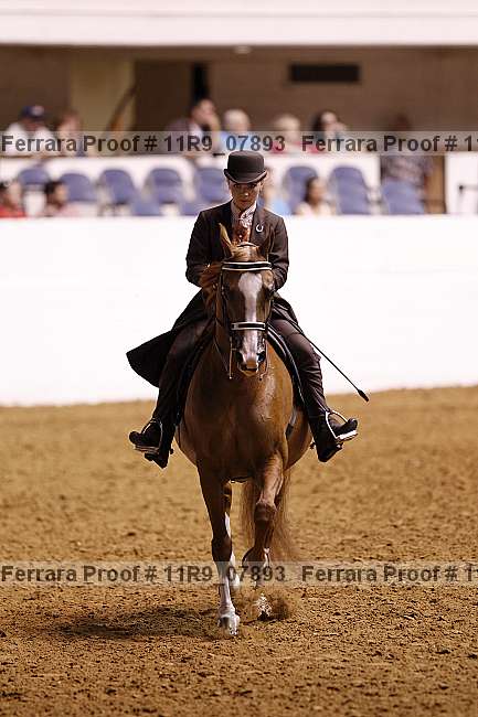 Proof 11r9_07893