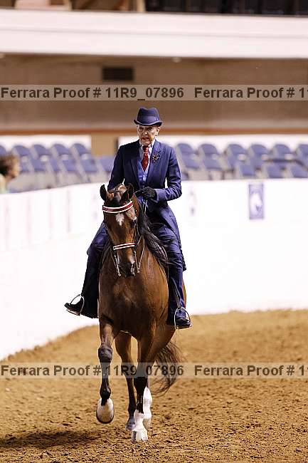 Proof 11r9_07896