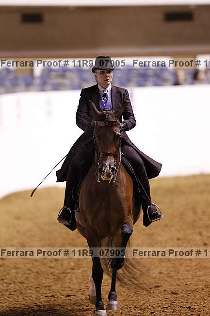 Proof 11r9_07905