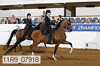 11r9_07918 proof