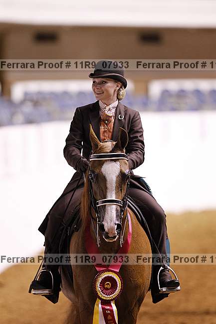 Proof 11r9_07933