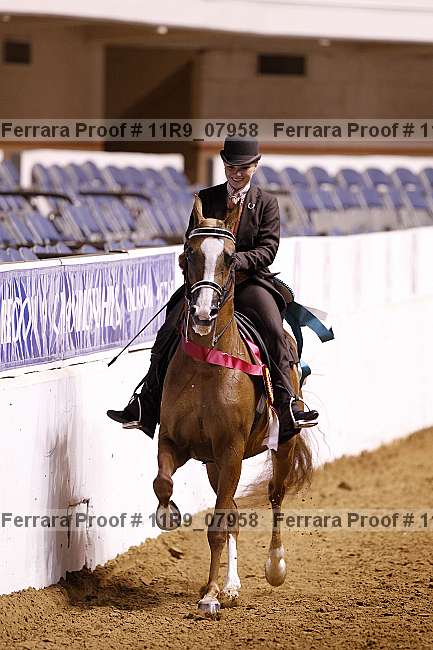Proof 11r9_07958