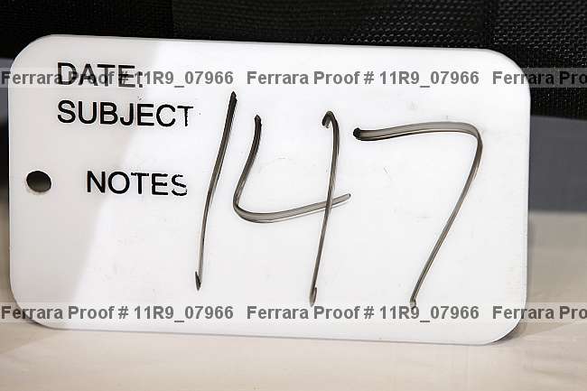 Proof 11r9_07966