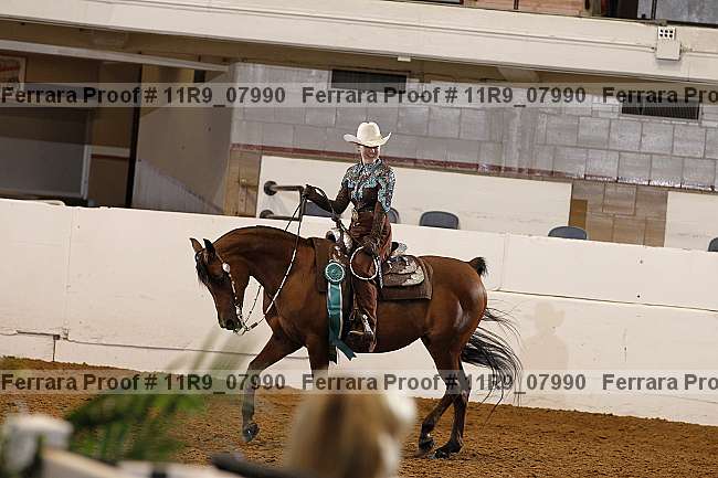 Proof 11r9_07990