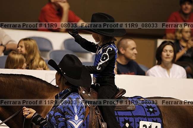 Proof 11r9_08033