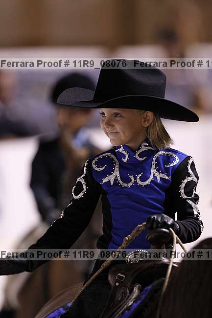 Proof 11r9_08076