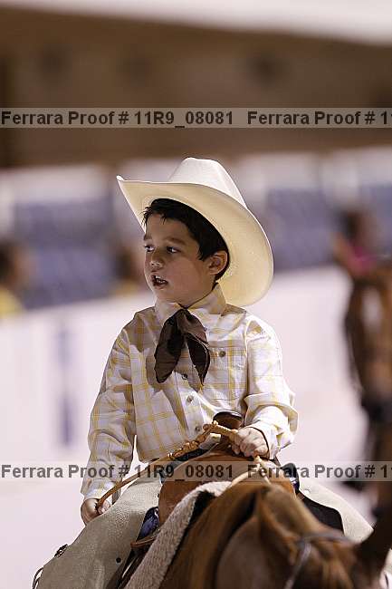 Proof 11r9_08081