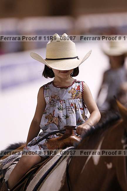 Proof 11r9_08087