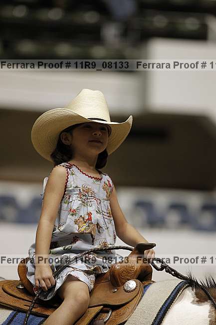 Proof 11r9_08133