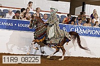 11r9_08225 proof