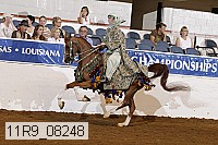 11r9_08248 proof