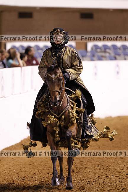 Proof 11r9_08250