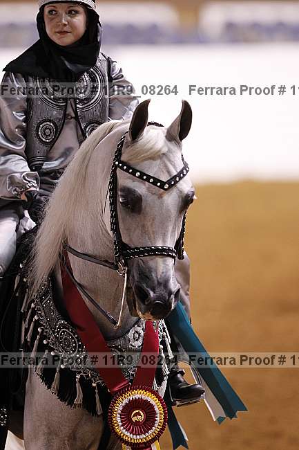 Proof 11r9_08264