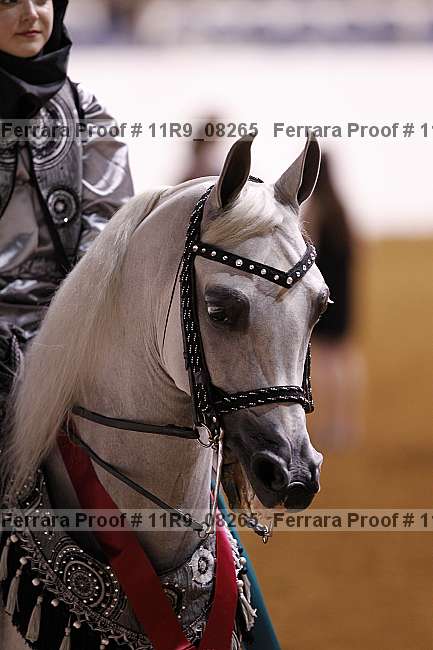 Proof 11r9_08265