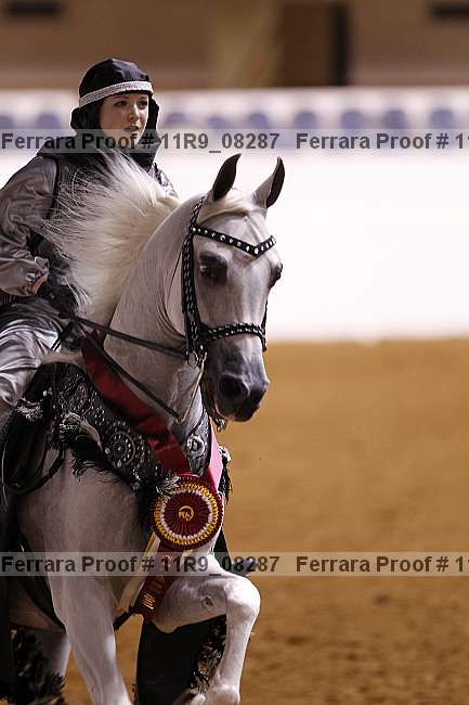 Proof 11r9_08287