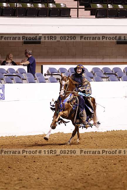Proof 11r9_08290