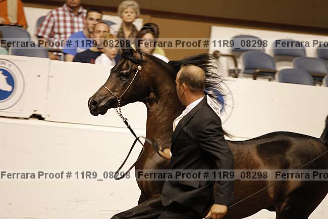 Proof 11r9_08298