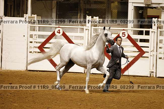 Proof 11r9_08299