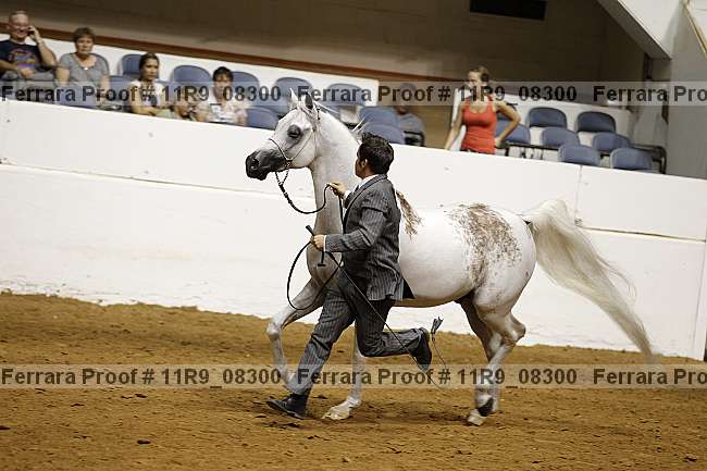 Proof 11r9_08300