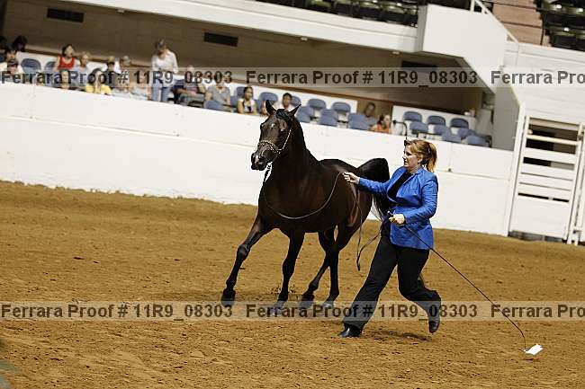 Proof 11r9_08303