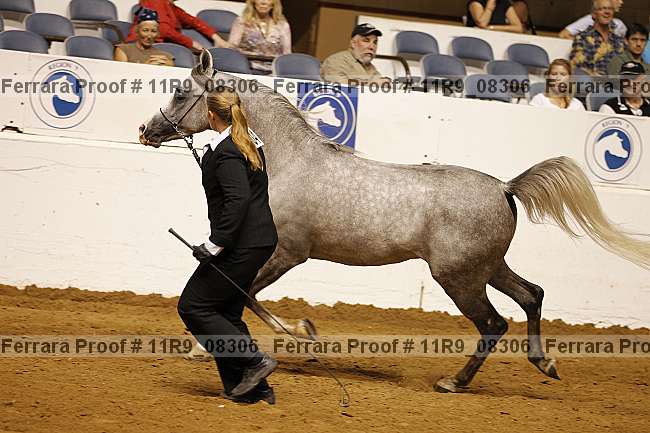 Proof 11r9_08306
