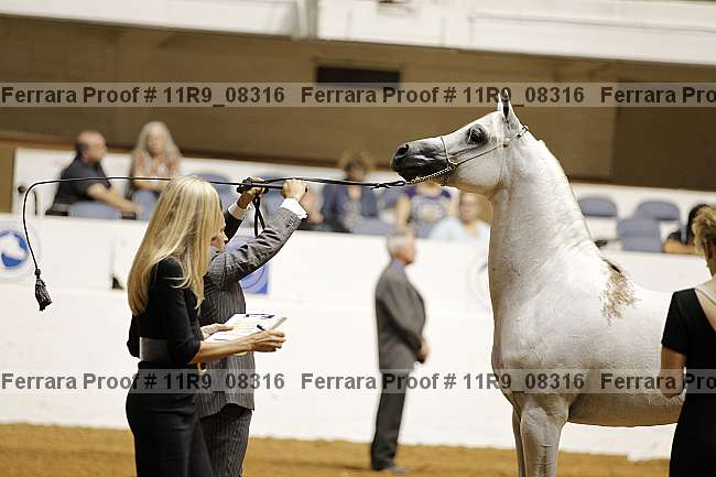 Proof 11r9_08316