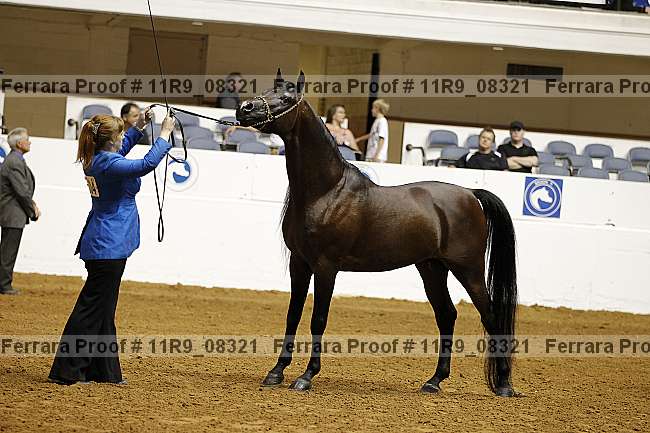 Proof 11r9_08321