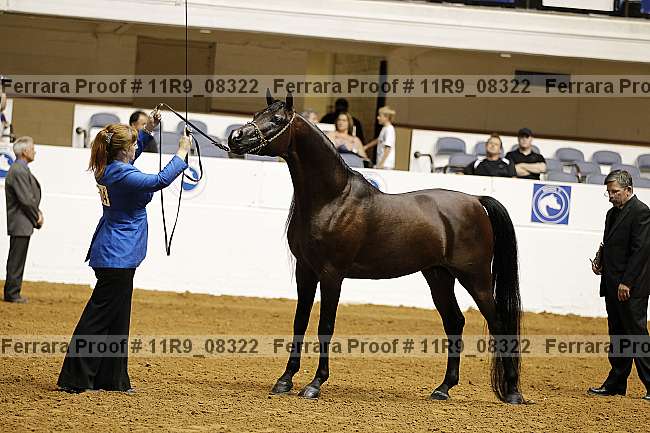 Proof 11r9_08322