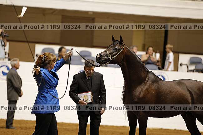 Proof 11r9_08324