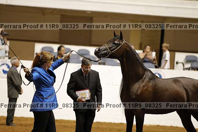 Proof 11r9_08325