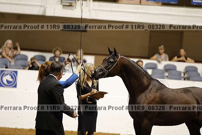 Proof 11r9_08328
