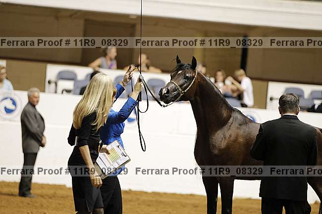 Proof 11r9_08329