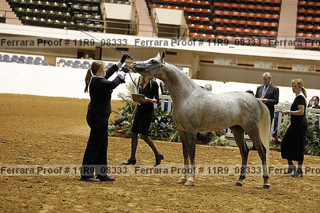 Proof 11r9_08333