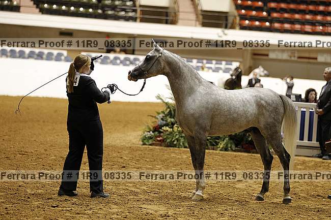 Proof 11r9_08335