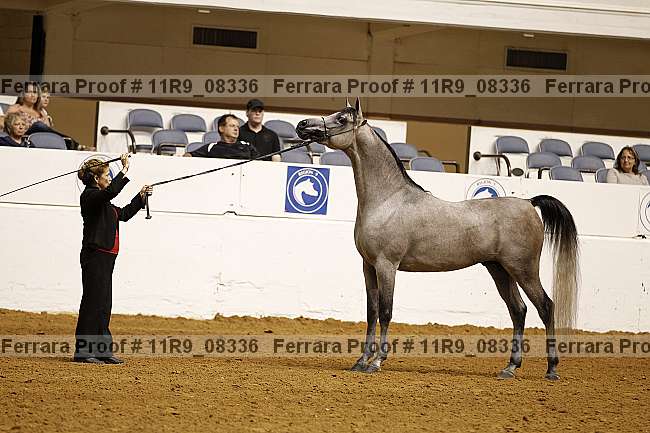 Proof 11r9_08336