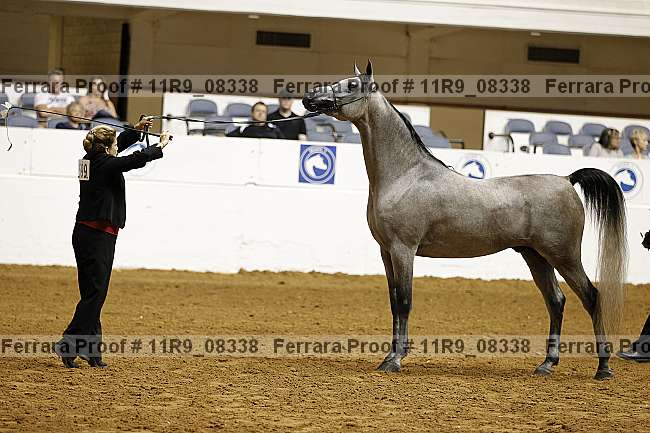 Proof 11r9_08338