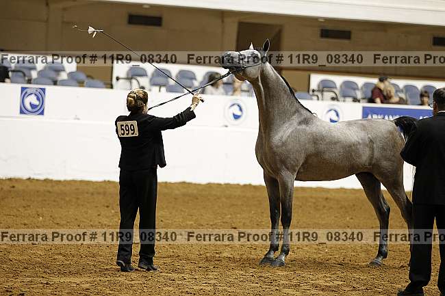 Proof 11r9_08340