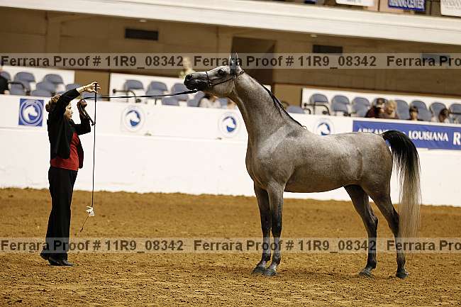 Proof 11r9_08342