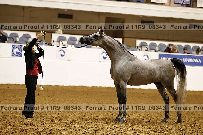 Proof 11r9_08343