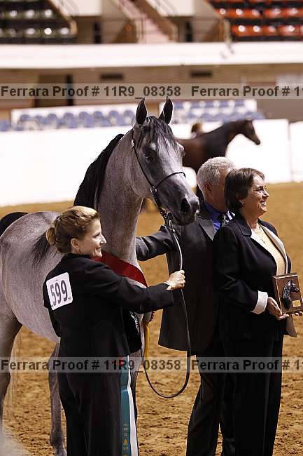 Proof 11r9_08358
