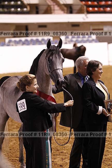 Proof 11r9_08360