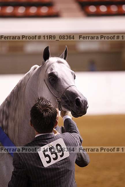 Proof 11r9_08364