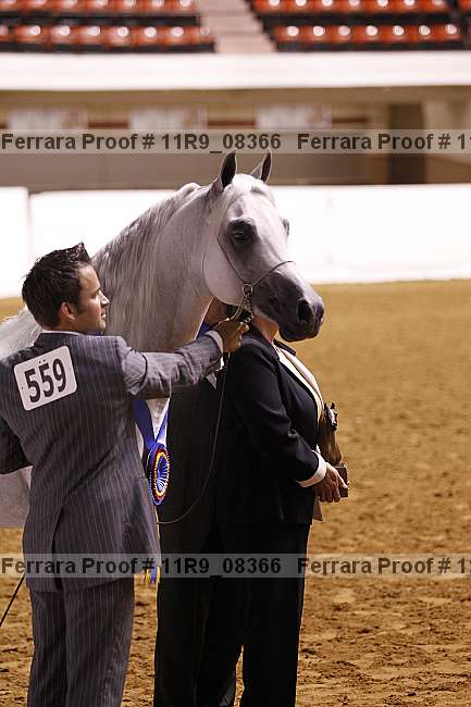 Proof 11r9_08366