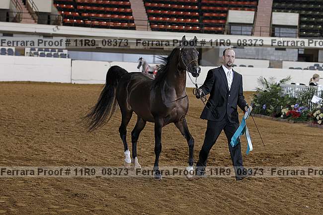Proof 11r9_08373