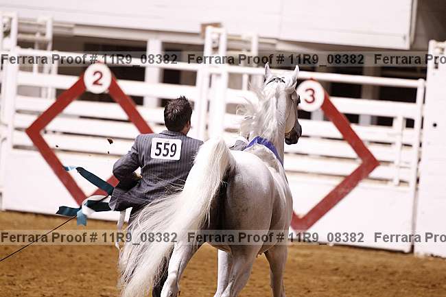 Proof 11r9_08382