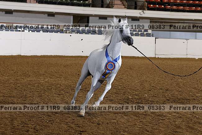 Proof 11r9_08383