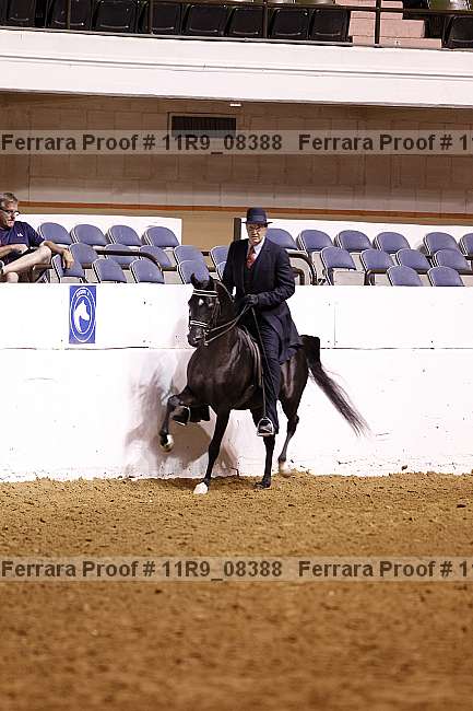 Proof 11r9_08388