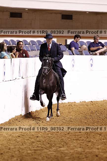Proof 11r9_08392